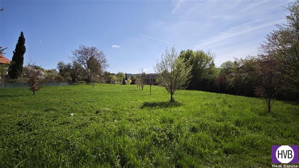 photo_5