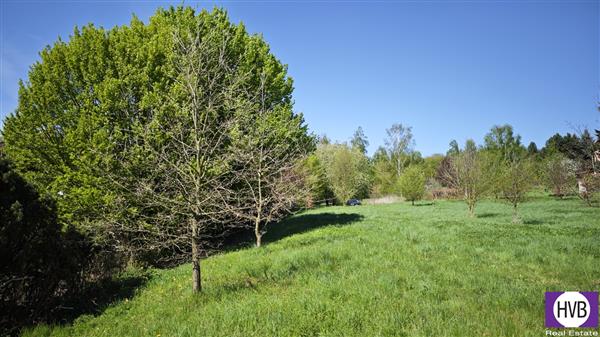 photo_6