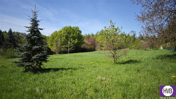 photo_7