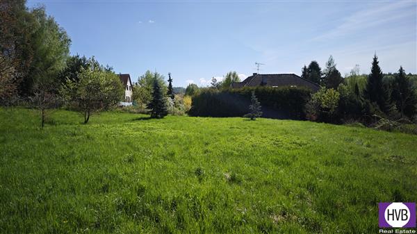 photo_8