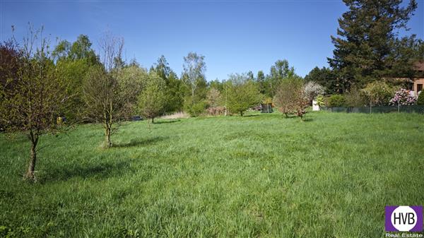 photo_9
