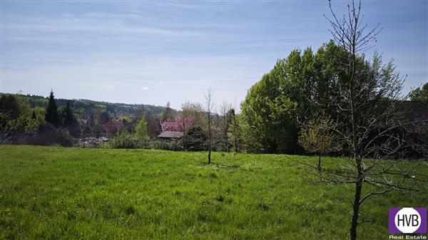 photo_10