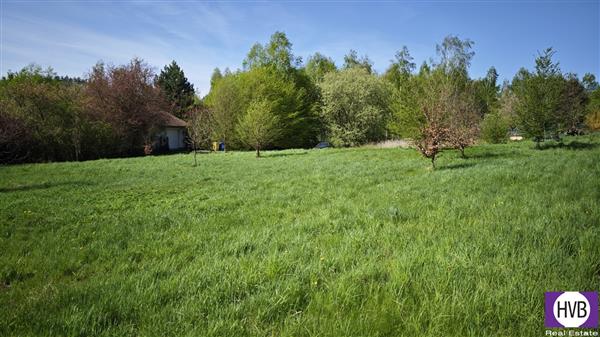 photo_11