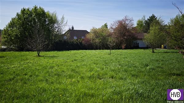 photo_12