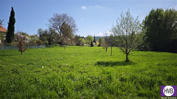 photo_13