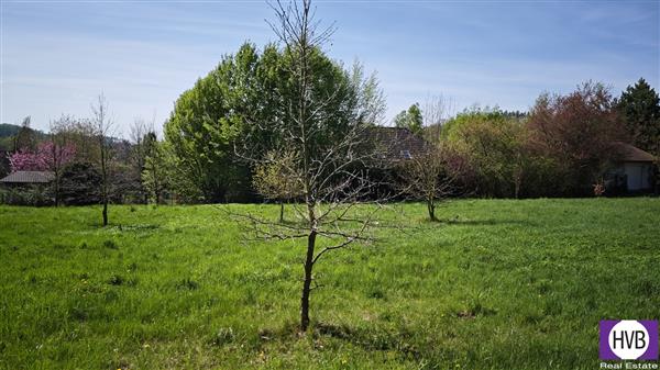 photo_14