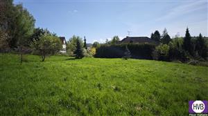 photo_8