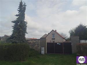 photo_1