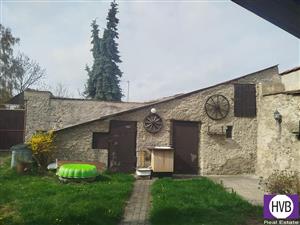 photo_5