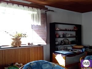 photo_8
