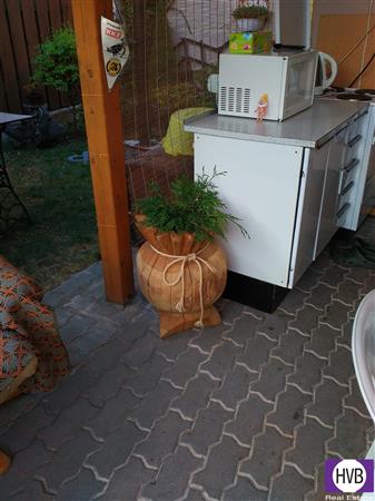 photo_18