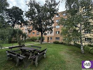 photo_1