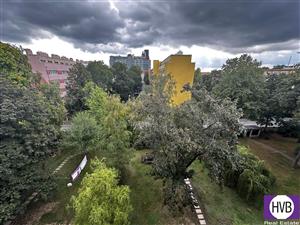 photo_6