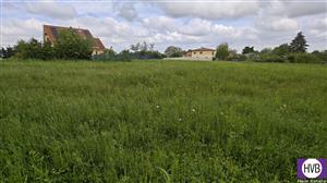 photo_5