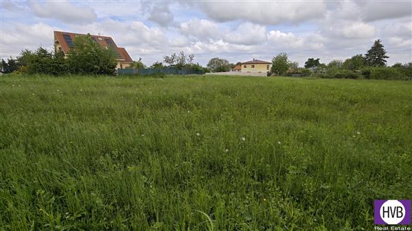 photo_5