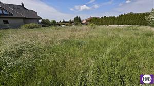photo_4