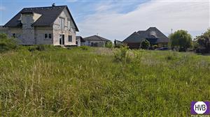 photo_7