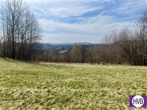 photo_1