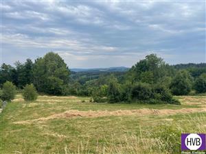photo_3
