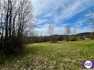 photo_7