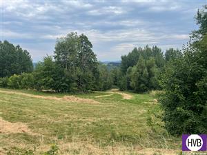 photo_9