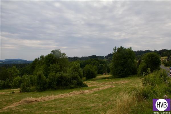 photo_10
