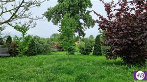 photo_6