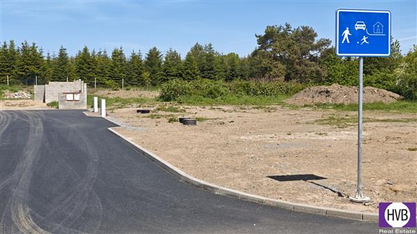 photo_1