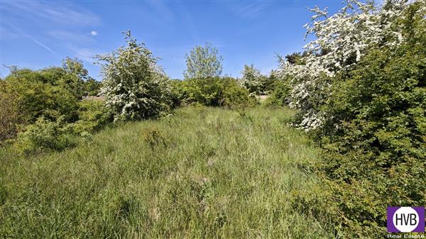 photo_4