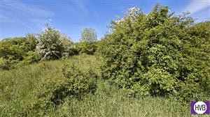 photo_6