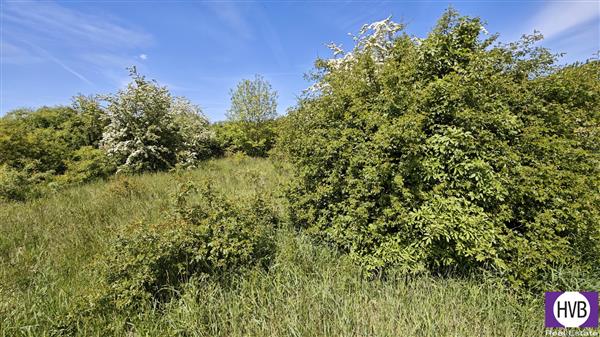photo_6