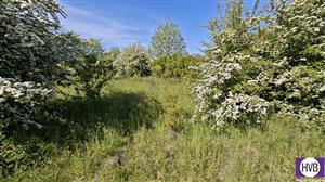 photo_7