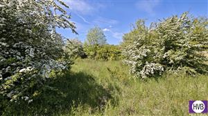 photo_8