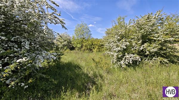 photo_8