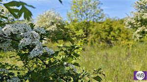 photo_10