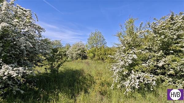 photo_12