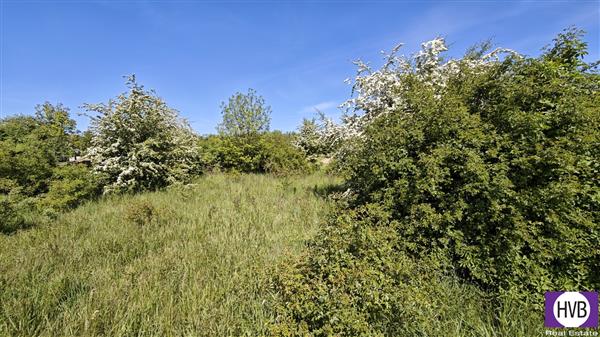 photo_13