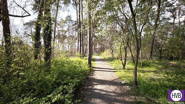 photo_4