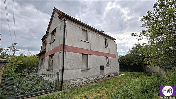 photo_6