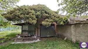 photo_7