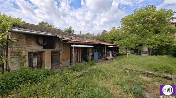 photo_11