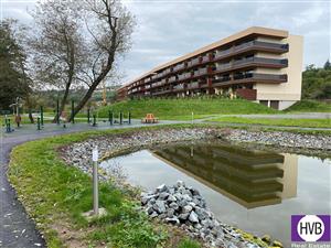 photo_6
