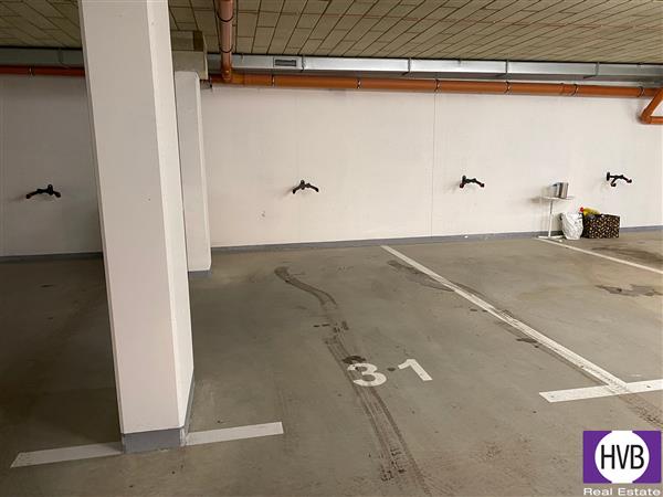 photo_8