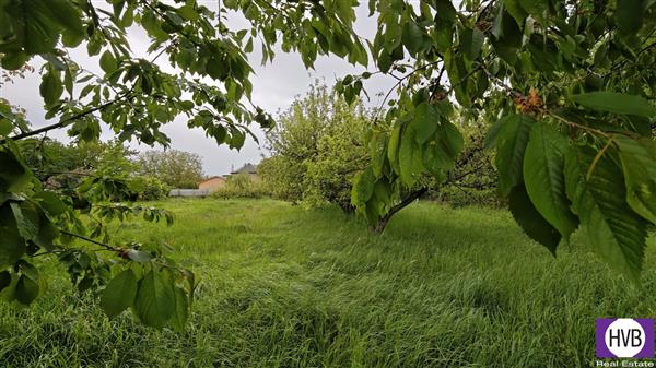 photo_1