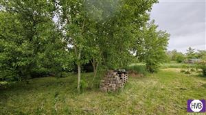 photo_4