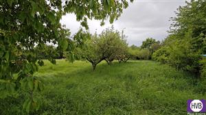 photo_5