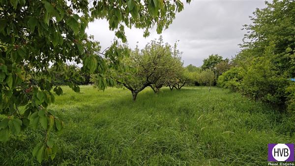 photo_5