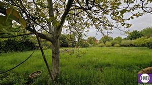photo_6