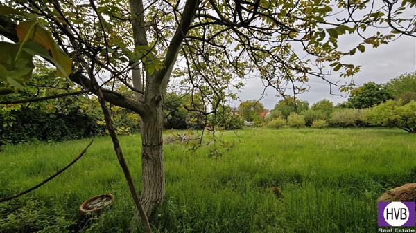 photo_6