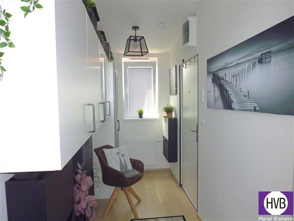 photo_6